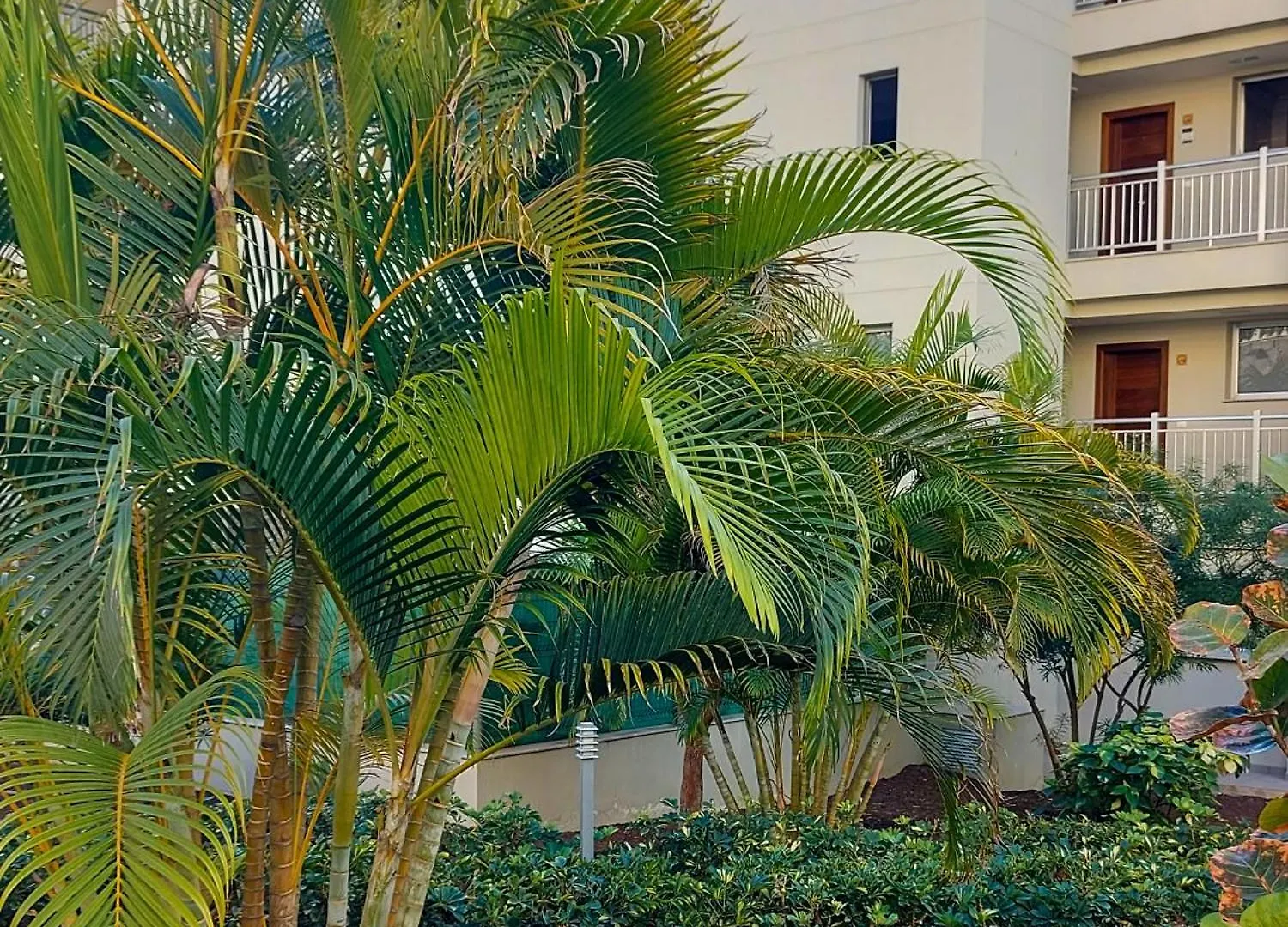 Sanremo Palm Mar Holidays 0*, Palm-mar Spain